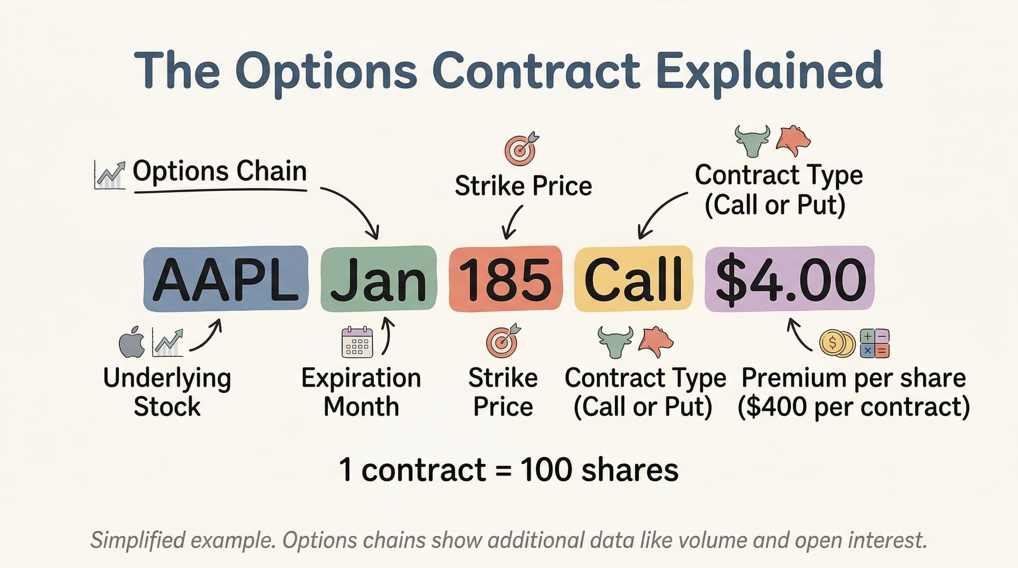 Optons Chain Options Trading for Beginners: Complete Guide | StockCram
